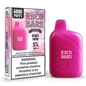 6000 Puff Berry Snow